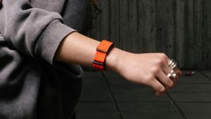 polar loop