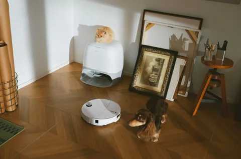 Roborock Qrevo Curv 2 Pro robot süpürge yeni paspas sistemiyle geliyor