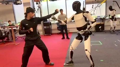 tesla optimus kung-fu