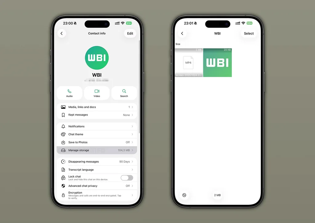 WhatsApp, her sohbetin cihazda kapladığı depolama alanını gösterecek