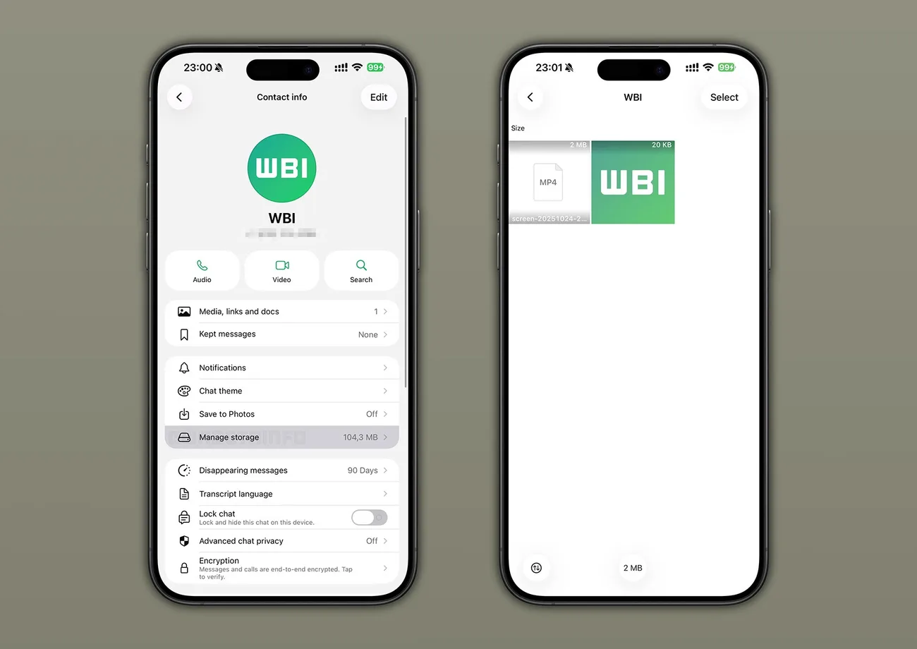 WhatsApp, her sohbetin cihazda kapladığı depolama alanını gösterecek