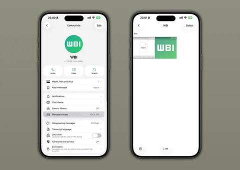 WhatsApp, her sohbetin cihazda kapladığı depolama alanını gösterecek