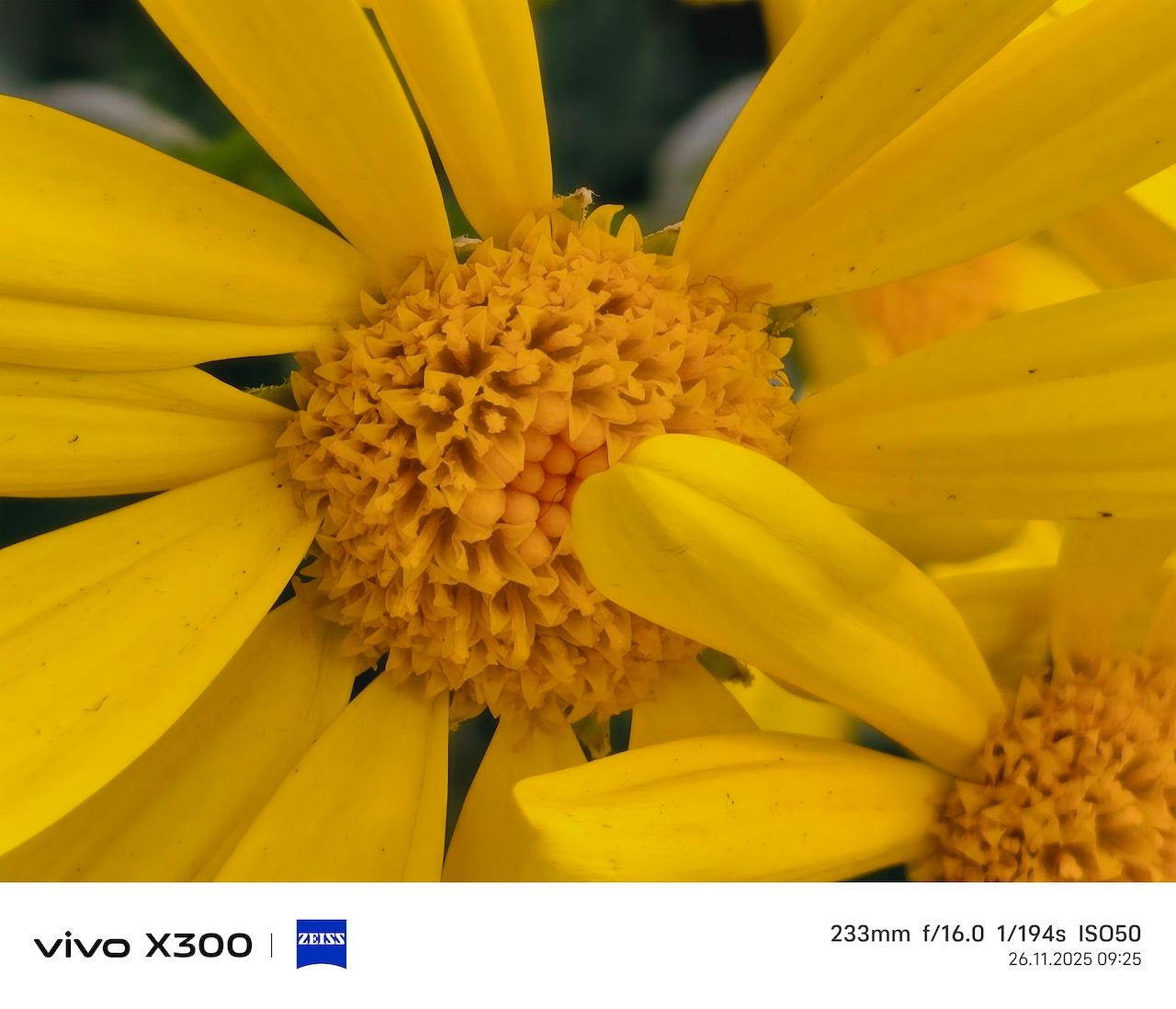 Gücün ve kamera yeteneklerinin en kompakt hâli: vivo X300 İncelemesi