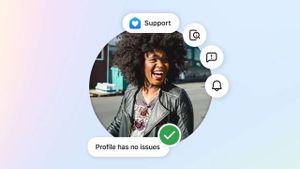 facebook instagram destek