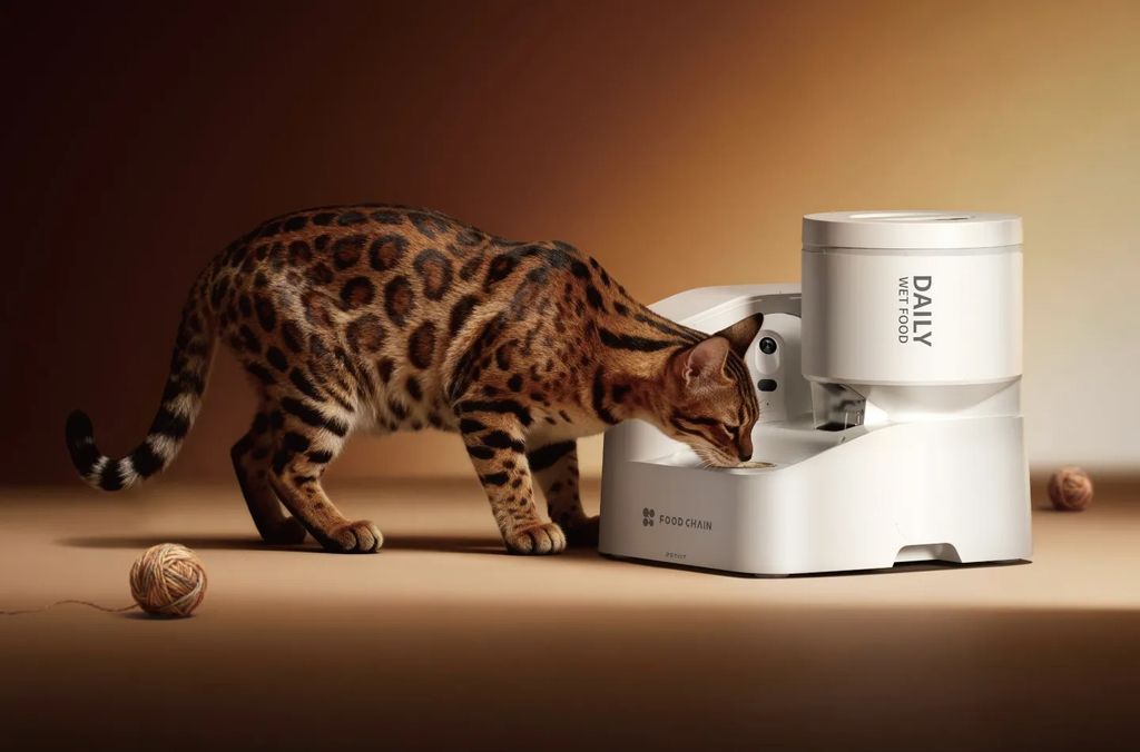 petkit yumshare daily feast ces 2026