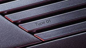 jaguar type 01