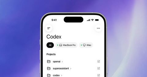 openai codex