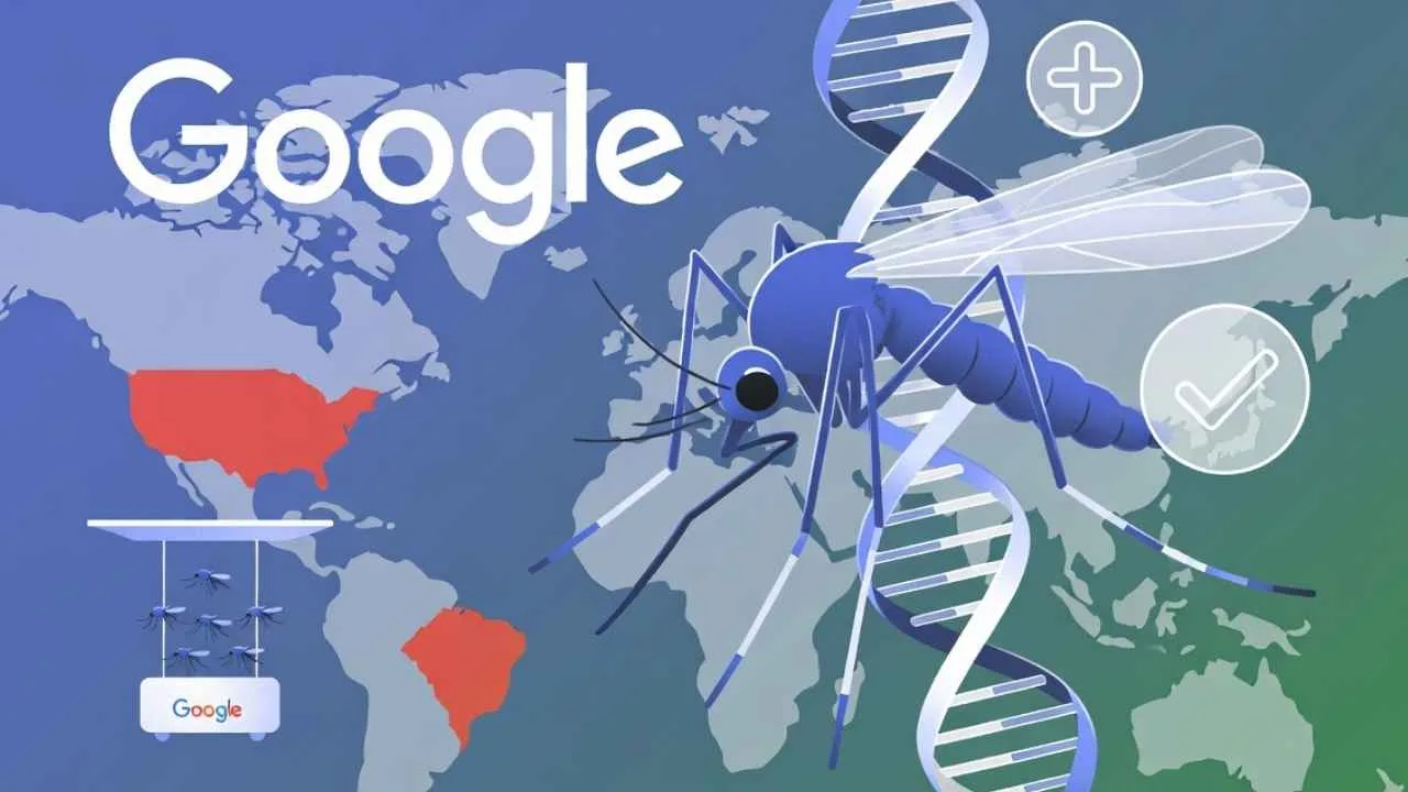 Google erkek sivrisineklerle Batı Nil riskini azaltmak istiyor
