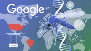 Google erkek sivrisineklerle Batı Nil riskini azaltmak istiyor