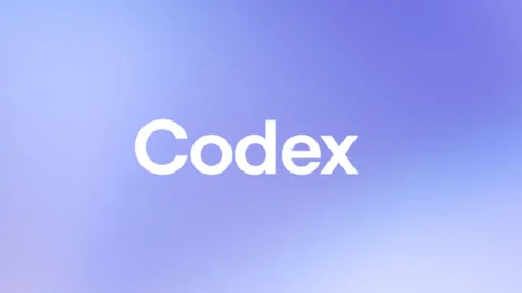 Codex ve ChatGPT Work 9 milyon kullanıcıya yaklaştı