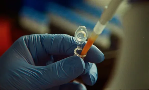 Claude, bakteriyofajlarda CRISPR benzeri yeni bir enzim sistemi buldu