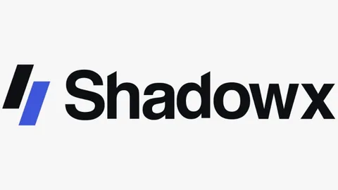 Shadowx yapay zekaya giden kurumsal veriyi dışarı çıkmadan maskeliyor