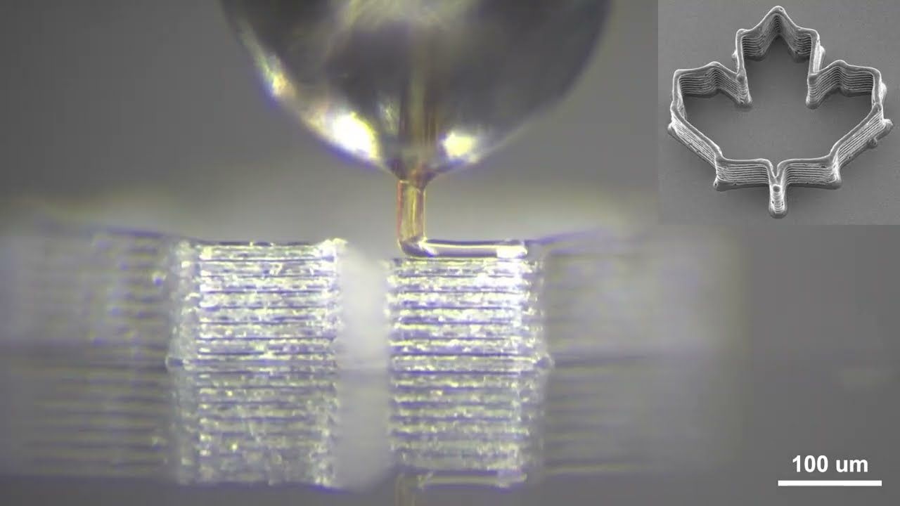 Sivrisinek hortumundan 3D yazıcı ucu yapan araştırma ödül aldı