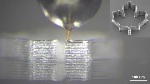 Sivrisinek hortumundan 3D yazıcı ucu yapan araştırma ödül aldı
