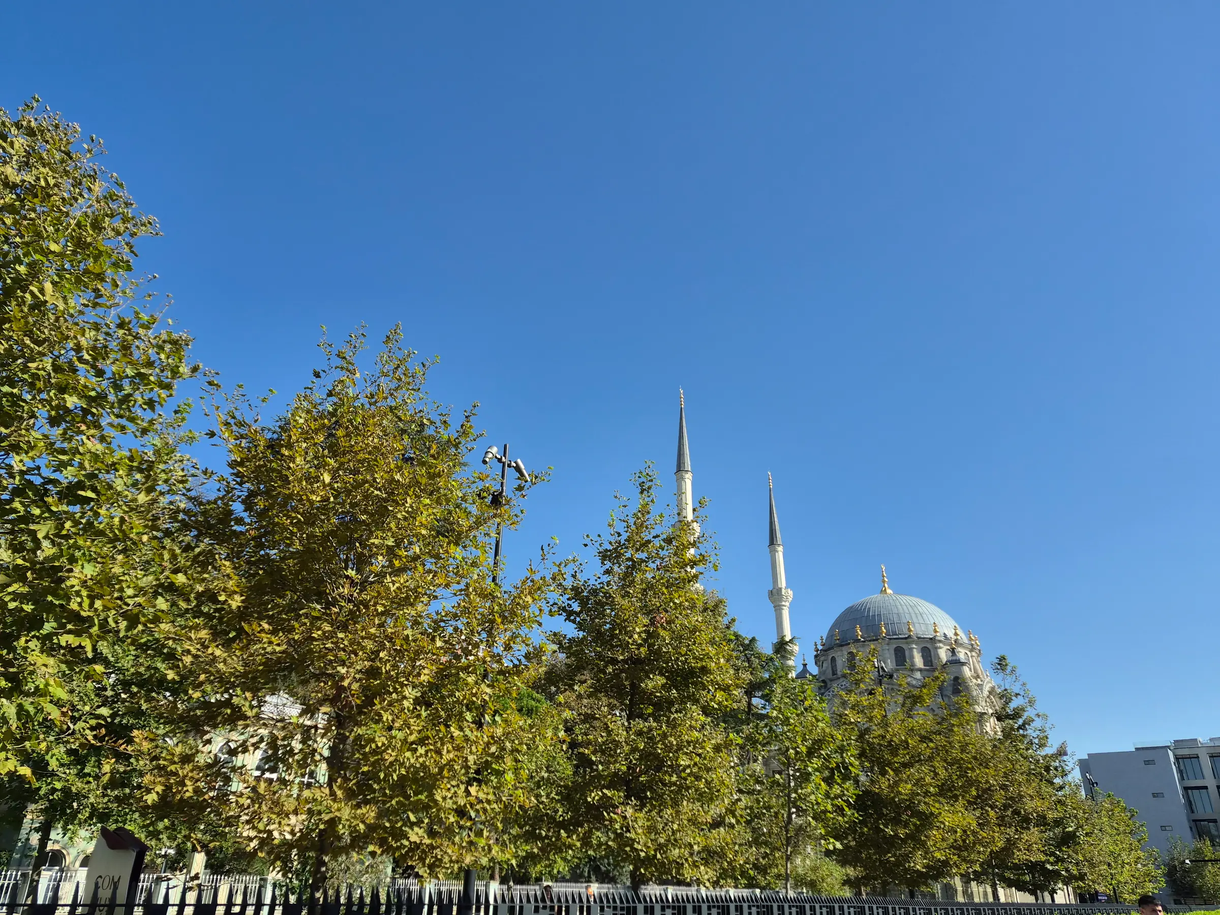 Galaxy S26 FE: Ana kamera ile ağaç ve gökyüzü