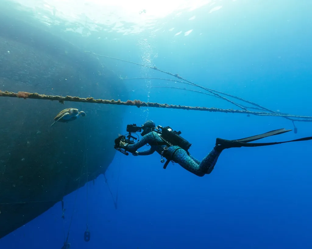 Blue Planet III, yapay zekâ çağında gerçek çekimlerin izlerini koruyacak