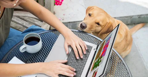 ASUS Vivobook 16, Ryzen AI 7 işlemciyle yenilendi