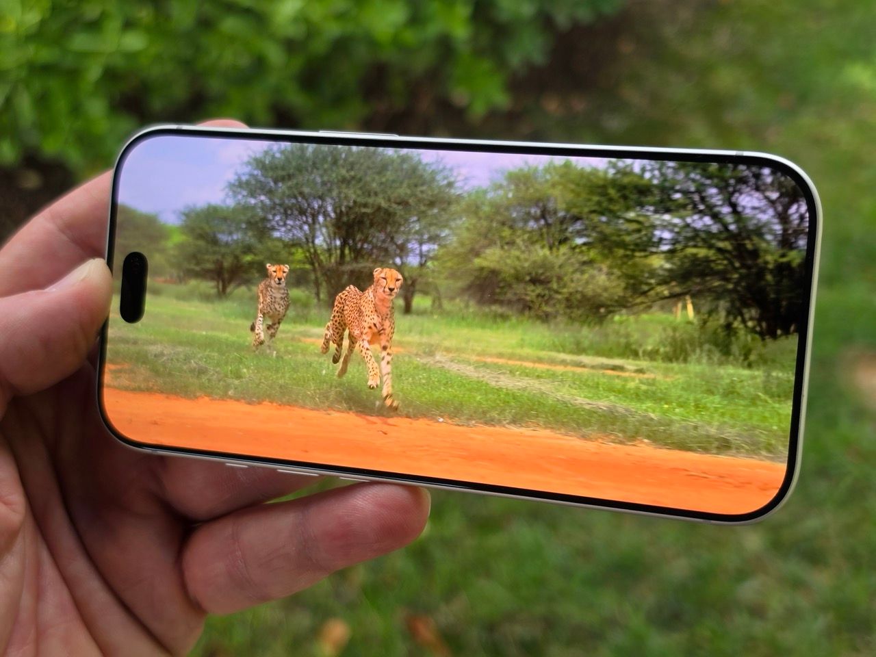 Kamerada daha fazla söz sahibi olun! iPhone 18 Pro İncelemesi