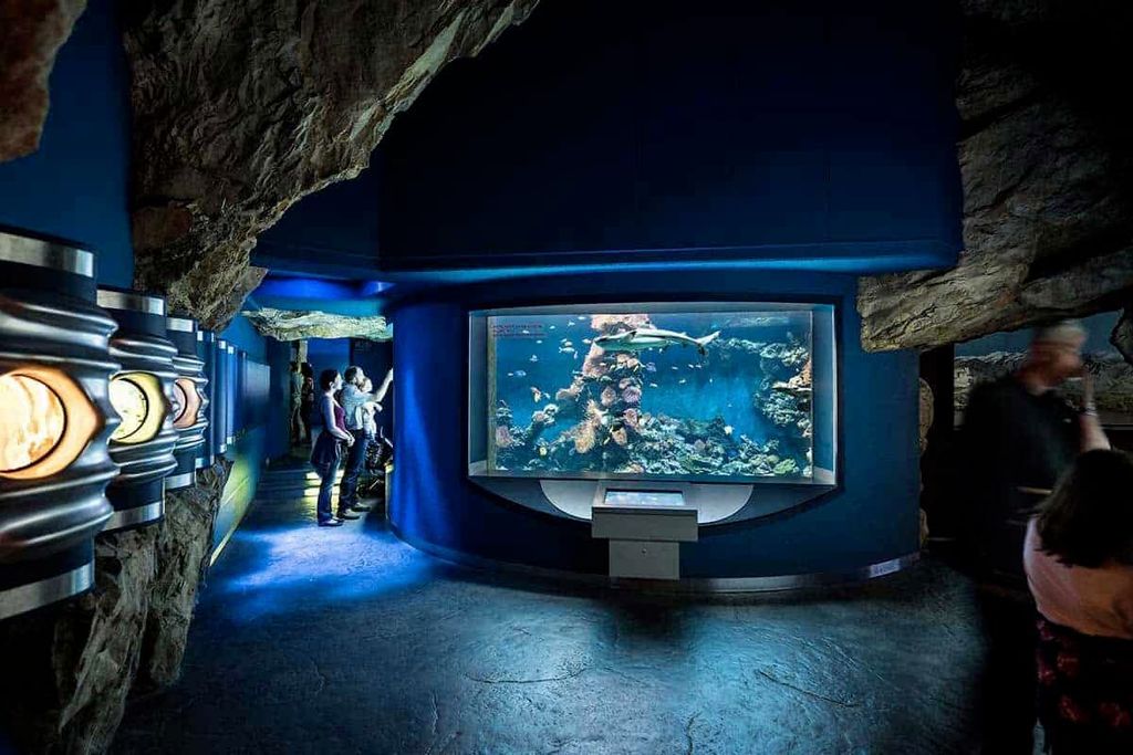Aktionstage – Museumsbesuche